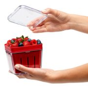 Chefn-Bramble-Berry-Basket-and-Colander-0-1