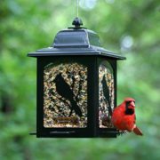 Perky-Pet-Birds-and-Berries-Lantern-Bird-Feeder-0-2